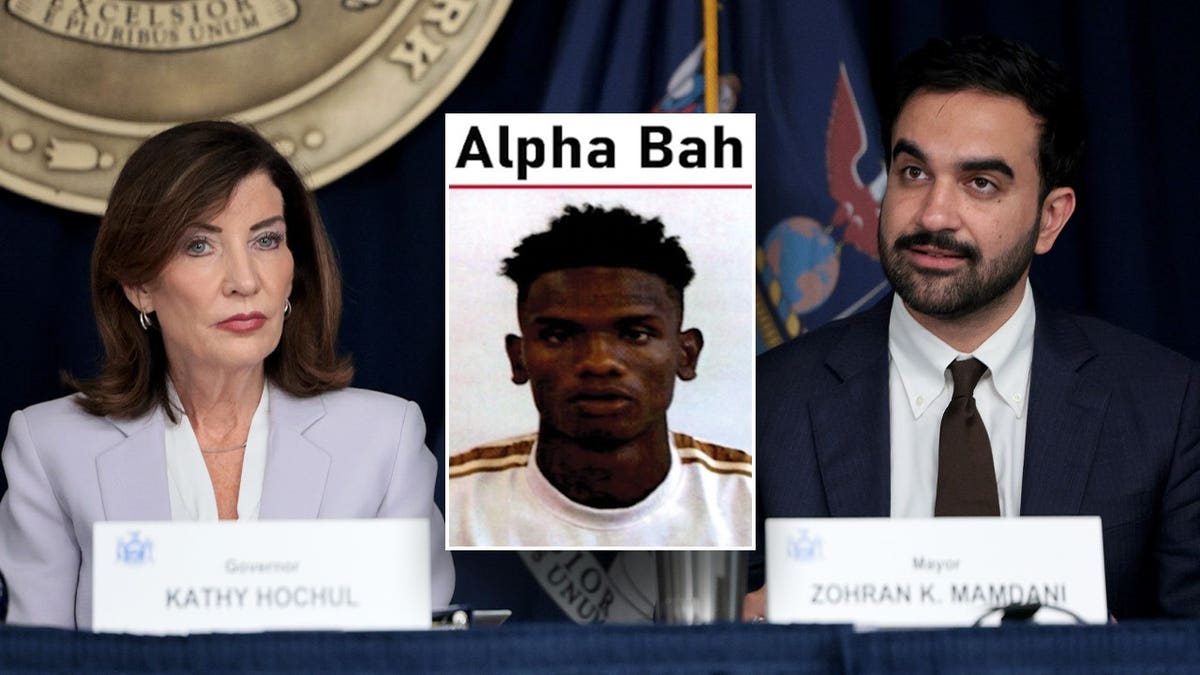 Alpha Bah mugshot between Hochul and Mamdani