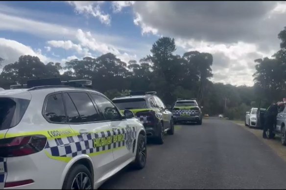 Police cars lined the street. 