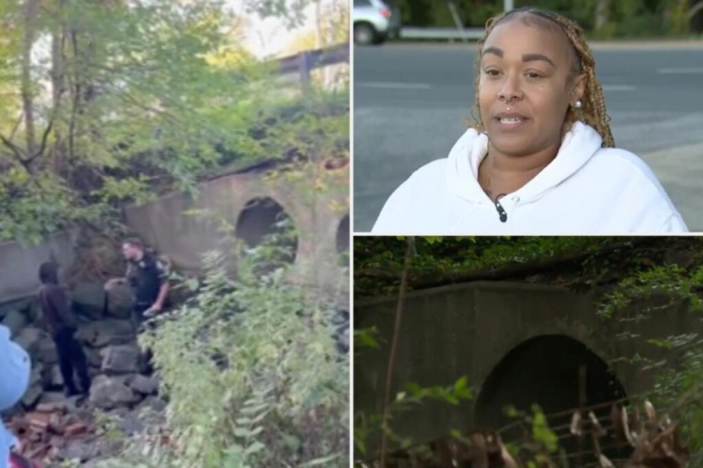 Pennywise lives – in the sewers of Baltimore: ‘Leave my f–king kids alone’