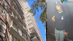 Mom dies shielding baby in horrific 15-story Bronx fall as police hunt suspect: report
