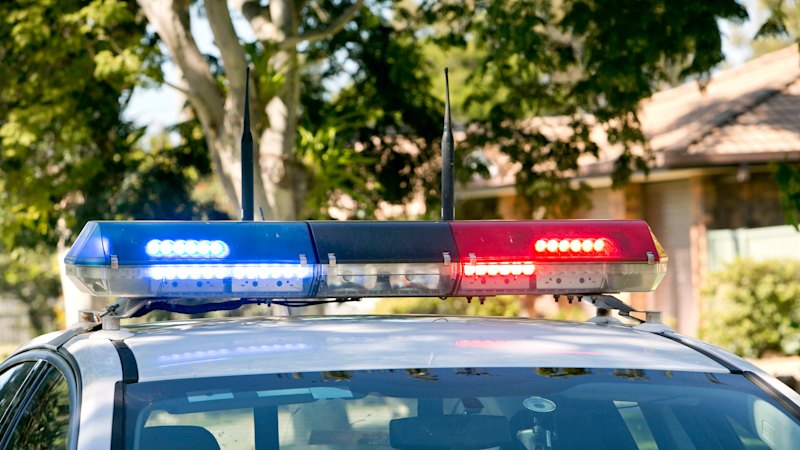 Man attacked by two dogs in 7th Brigade Park