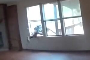 Copper theft suspect’s desperate escape caught on bodycam video before deputies discover what he left behind