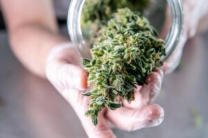 Dear Abby: Our granddaughter reeks of pot when we pick her up from her mother’s house