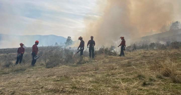 Indigenous cultural burn near Osoyoos revives traditional fire stewardship