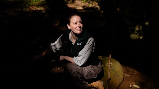 Tarryn Williams Clow, zookeeper at Taronga Zoo, stayed on the island for two weeks refining the habitat and diet with the surrogate species.