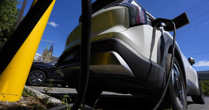 Canada’s EV sales are growing, but not fast enough: expert