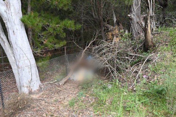 The court heard the men’s bodies were placed in surfboard bags near the fence line of a Greek monastery and covered in rocks and sticks.