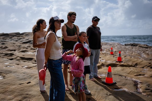Crowds gather as a whale carcass washed up in Lurline Bay in South Coogee.