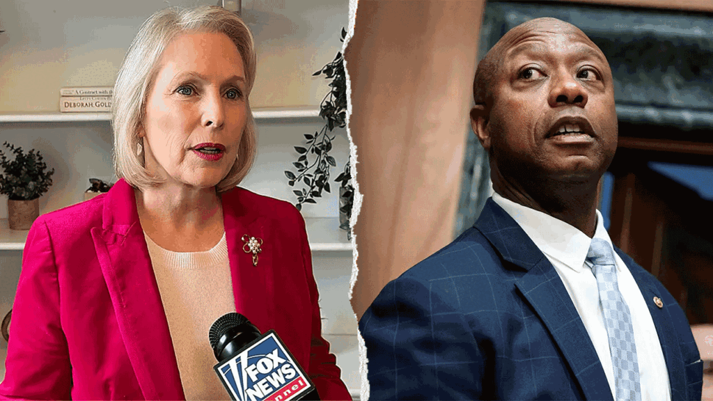 The nine key races that will decide who controls the Senate, and where they stand