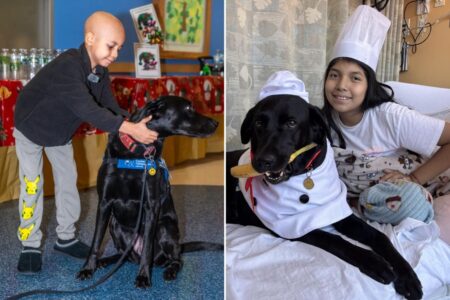 Exclusive | Meet NYC’s ‘doctor dogs’ who are helping hospitalized kids heal