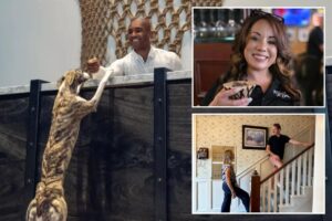 The human race: As AI reshapes hospitality, boutique hotels double down on people power