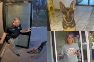 Lost Florida dog shows up at police station — as officer helps reunite ‘K-9 applicant’ with tearful owner
