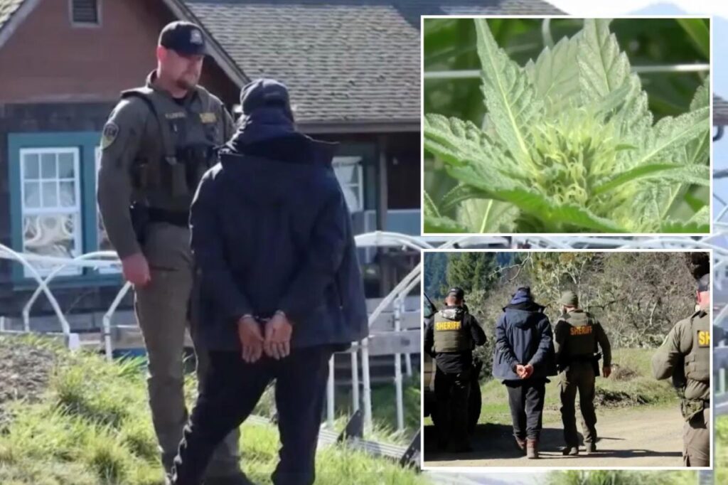 Shocking punishment for California man who imprisoned migrants on remote weed farm: ‘Profound imbalance of power’