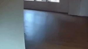 Copper theft suspect's desperate escape caught on bodycam video before deputies discover what he left behind