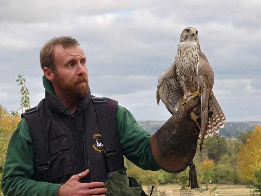 Image of a man holding a falcon