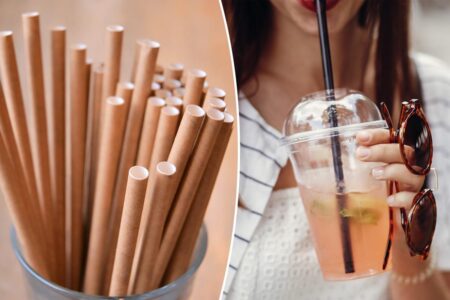 Paper straws worse for the environment than plastic ones, says study
