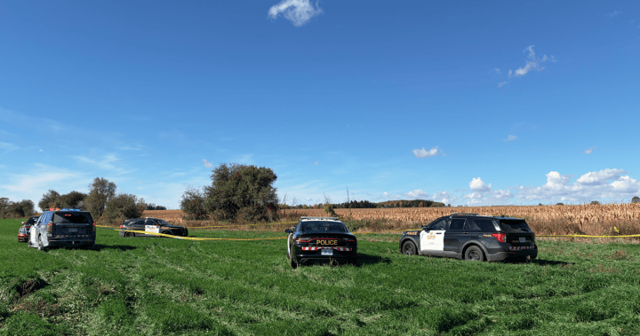 2 dead after plane crash, fire near Fergus, Ont.