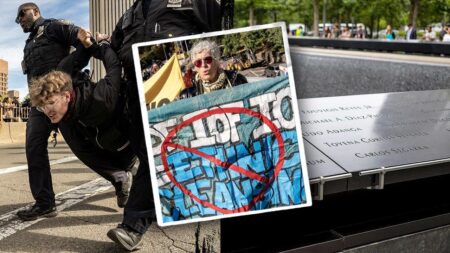 Radicals bring life in America's largest city to screeching halt and vandalize 9/11 Memorial