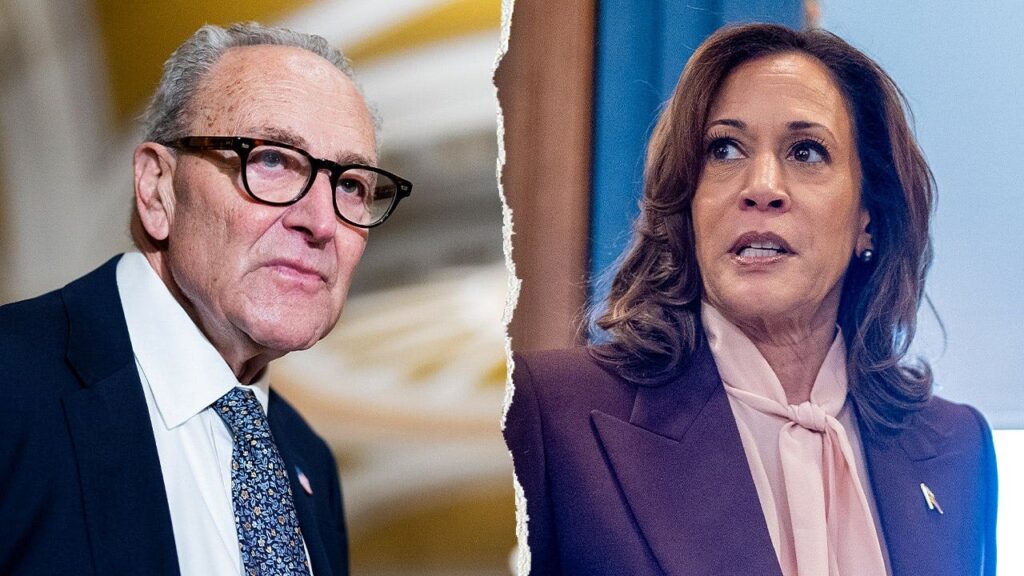 WATCH: Dem senators dodge backing Kamala Harris in potential 2028 run: ‘Very messy’