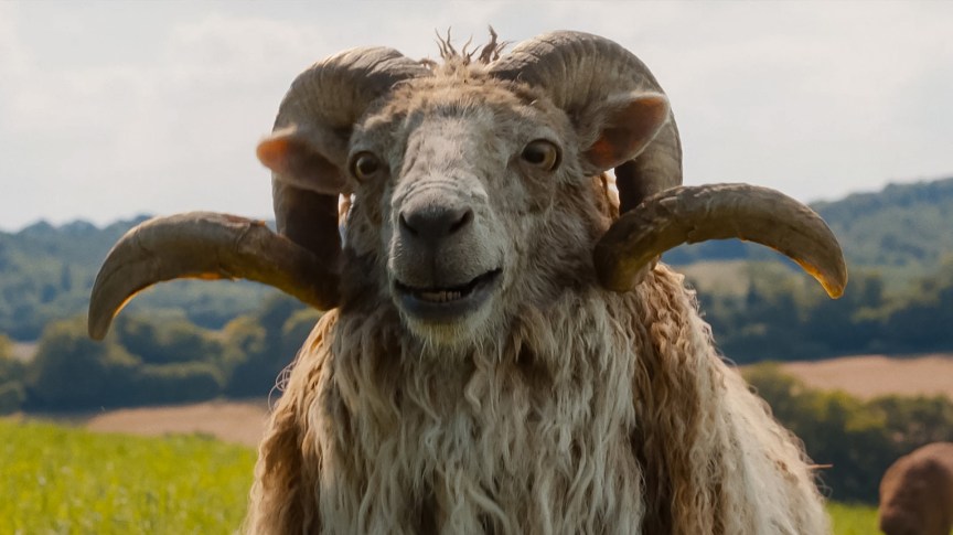 Image of an old sheep from the movie The Sheep Detectives.