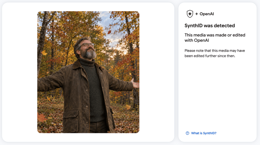 A screenshot showing a photo of a man with arms outstretched amid autumn leaves. But a tool has identified at right that the image was made using OpenAI.