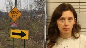 Mom accused of driving car off cliff with young kids inside, faces DUI, child neglect charges