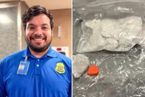 Bizarre X-ray scan leads TSA officers to flight passenger’s illegal stash