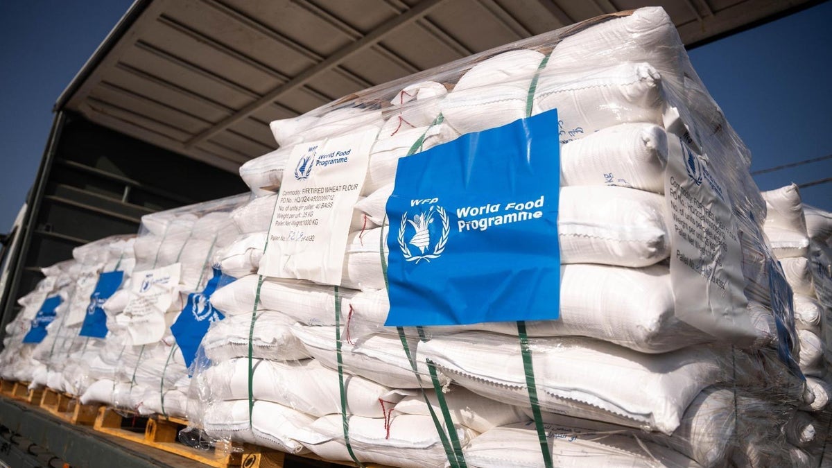 WFP Gaza aid