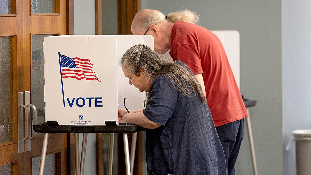 Wisconsin primary voters